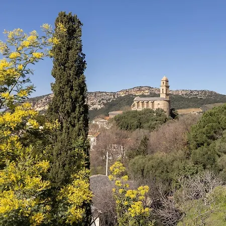 Fiore Di Appartamento